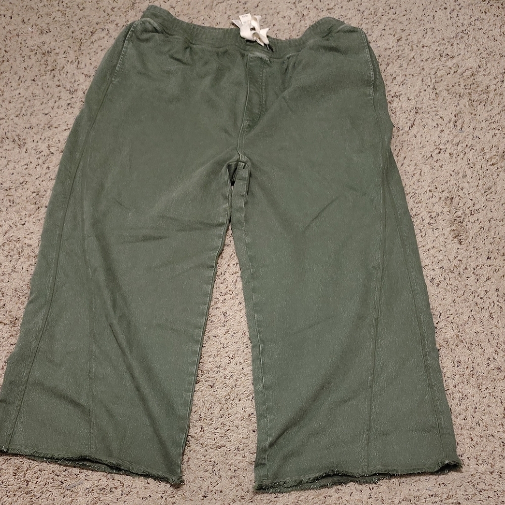 Aerie American Eagle Olive Light Pants XXL NWT
